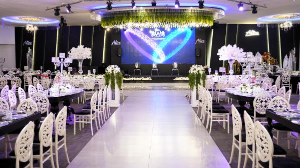 Alice Palazzo Quality